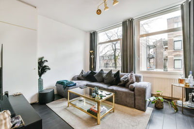 Potted plants on sofa at home