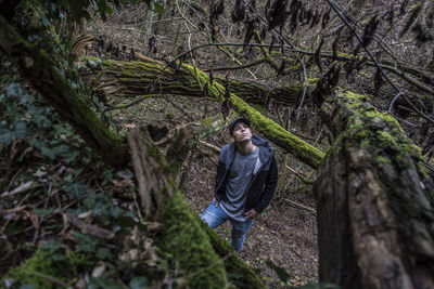 High angle view of man looking up while standing in forest