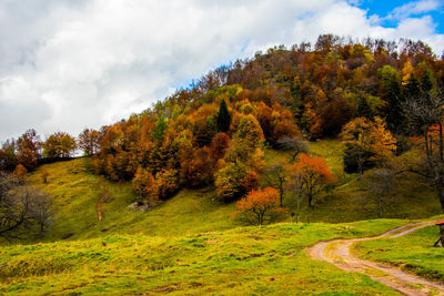 Trees on landscape against sky during autumn