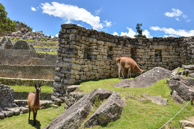 View of an old ruins