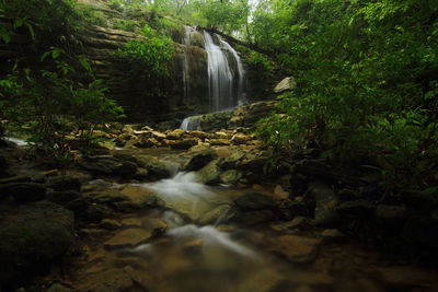 Scenic view of waterfall in forest
