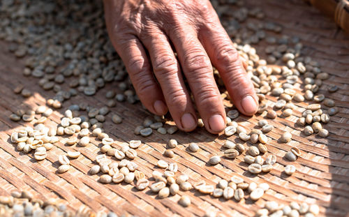 Farmers sort rotten and fresh coffee beans before drying. 