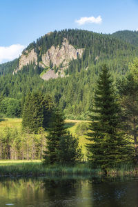 Scenic view of lake by trees against sky