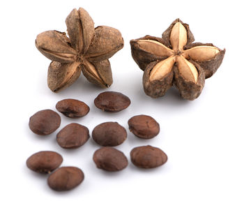 Close-up of coffee beans against white background