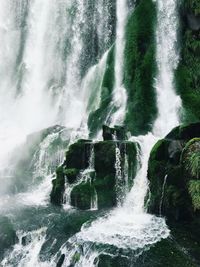 Scenic view of waterfall in forest