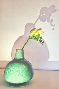 Close-up of flower vase on table against wall at home