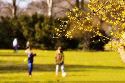 People playing with ball in park