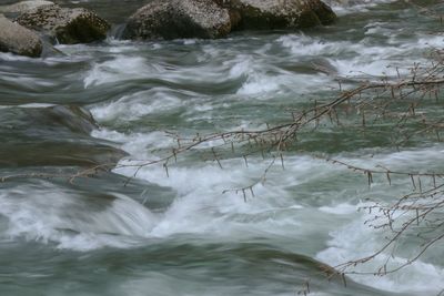 Scenic view of river stream