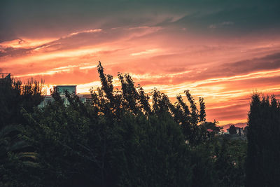 Silhouette trees against sky during sunset