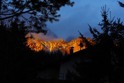 Low angle view of silhouette trees against sky at night