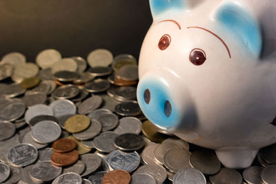 Close-up of piggy bank and coins