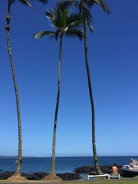 Palm trees on beach against clear blue sky