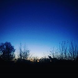 Low angle view of silhouette bare trees against sky at dusk