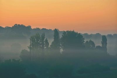 Trees on landscape against sky during sunset