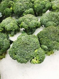 High angle view of vegetables