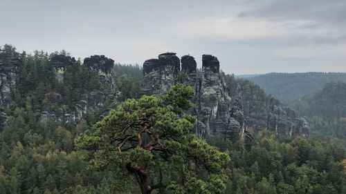 Low angle view of rock formations