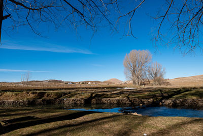 Scenic view of landscape against blue sky