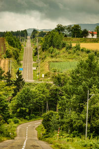 Road amidst trees and plants against sky