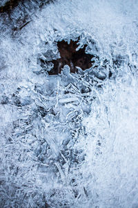 Close-up of frozen ice