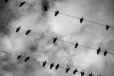 Low angle view of cables against sky