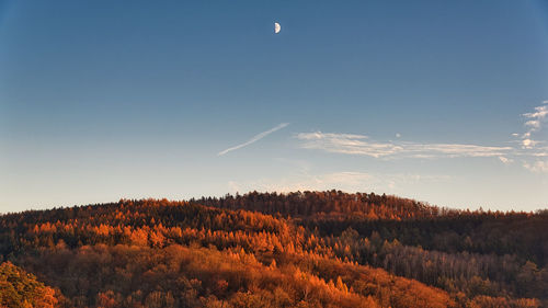 Scenic view of landscape against sky during autumn