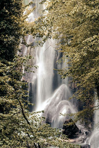 Scenic view of waterfall in forest