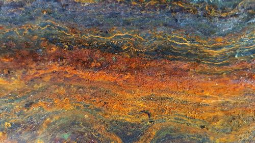 Full frame shot of tree