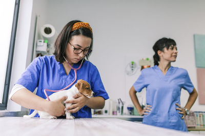 Close-up of veterinarian examining dog at hospital