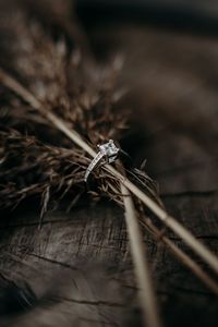 Close-up of dry leaf on wooden table