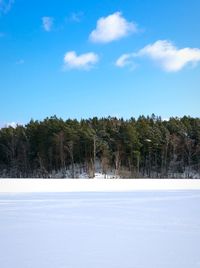 Trees on snow covered landscape against blue sky