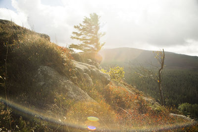 Scenic view of landscape against sky