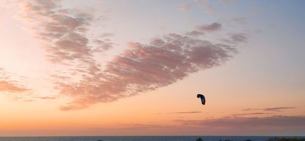 Bird flying in sky during sunset