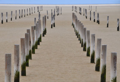 Row of wooden posts in sea