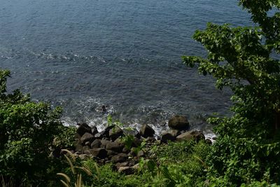 High angle view of rocks by sea