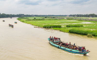 A lot of cows come from different districts of bangladesh to dhaka city by boat