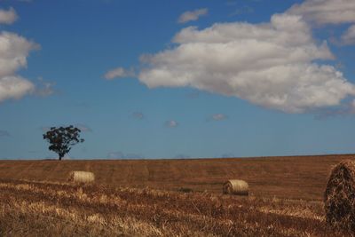 Scenic view of farm against sky