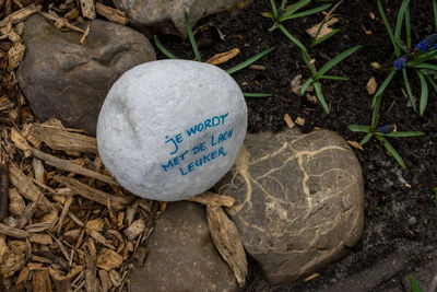 High angle view of a pebble