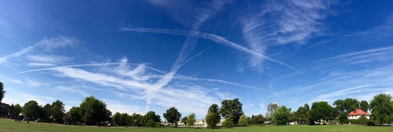 Scenic view of grassy field against blue sky