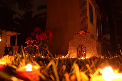 Illuminated temple against trees at night