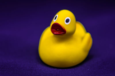 Close-up of yellow rubber duck on blue textile