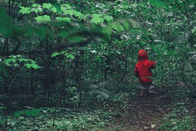 Kid walking amidst plants at forest