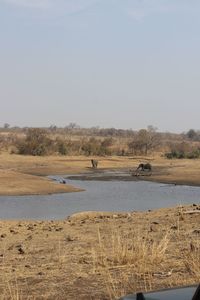 Scenic view of landscape against clear sky