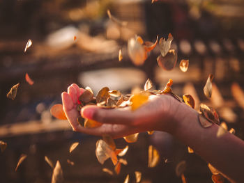 Close-up of woman hand throwing leaf in air outdoors