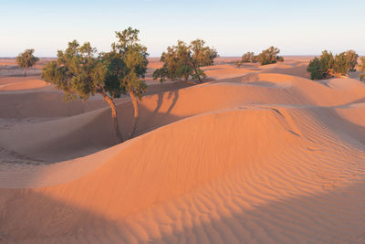 Scenic view of desert against sky