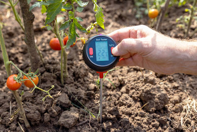 Soil test - measuring temperature, moisture content, environmental humidity and illumination