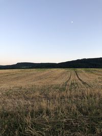 Scenic view of field against clear sky