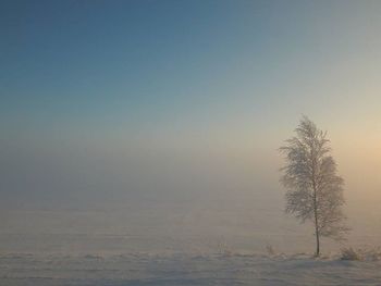 Scenic view of landscape