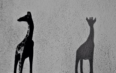 Close-up of giraffe figurine with shadow on wall