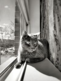 Close-up of cat on man