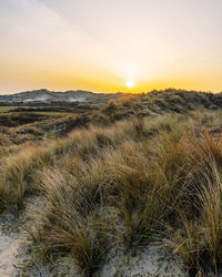 Scenic view of land against sky during sunset